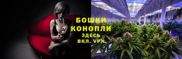 молекула духа Кулебаки