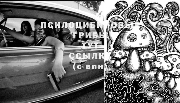дмт Кукмор