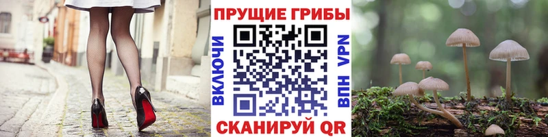 Галлюциногенные грибы GOLDEN TEACHER  Купить где  Череповец 