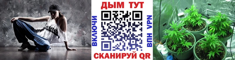 Конопля план  Купить где  Череповец 